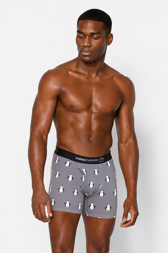 Men's Boxer Briefs - Penguins