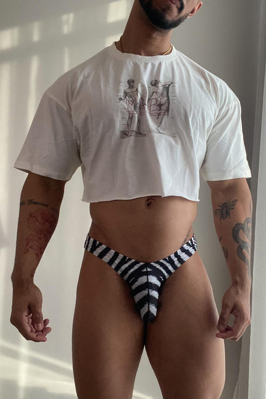 Men's Slimmer Bulge Briefs - Zebra Print